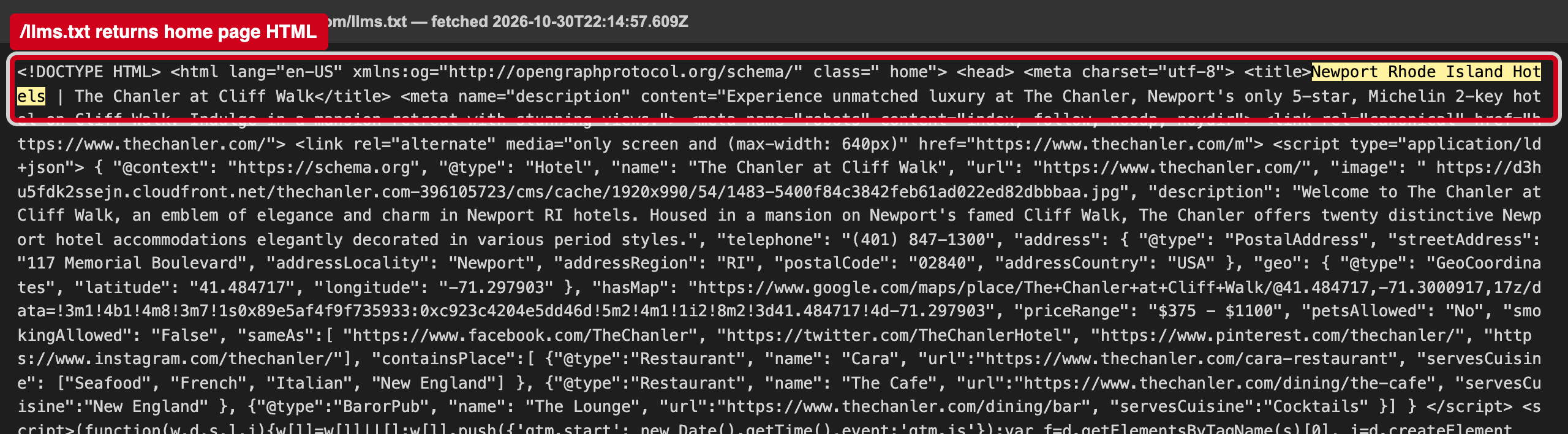 Screenshot: /llms.txt serves your home page